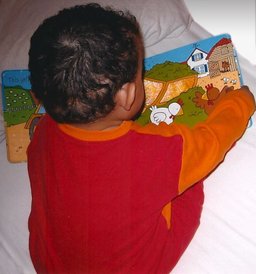Reading
